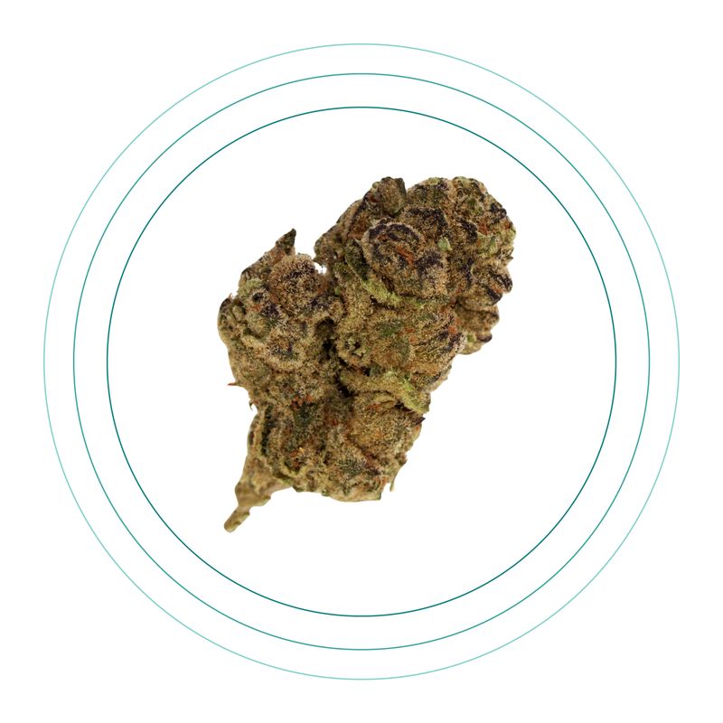 Blue Berry Sherbet