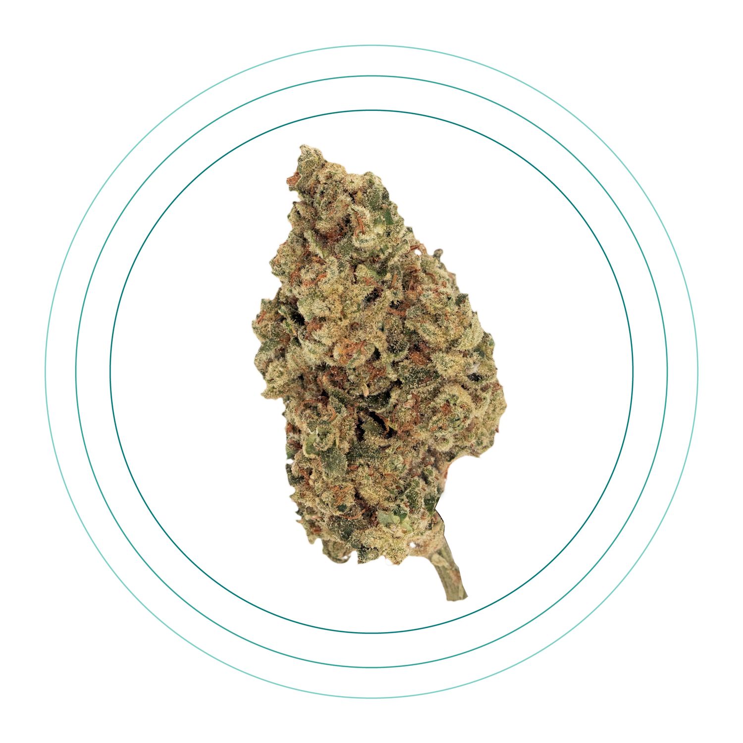 Holy Grail Kush