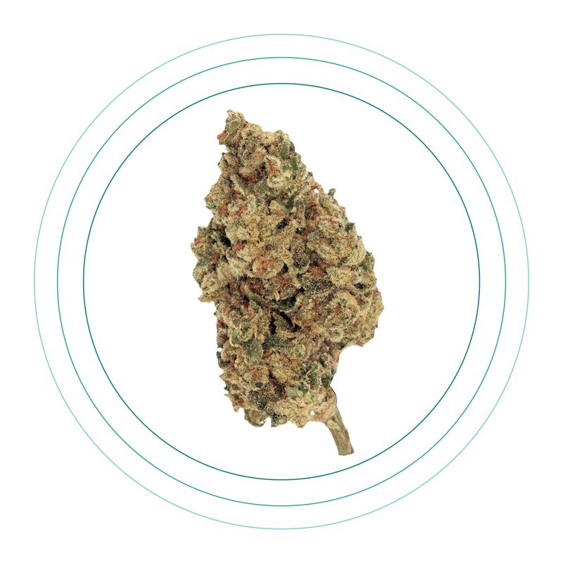 Holy Grail Kush