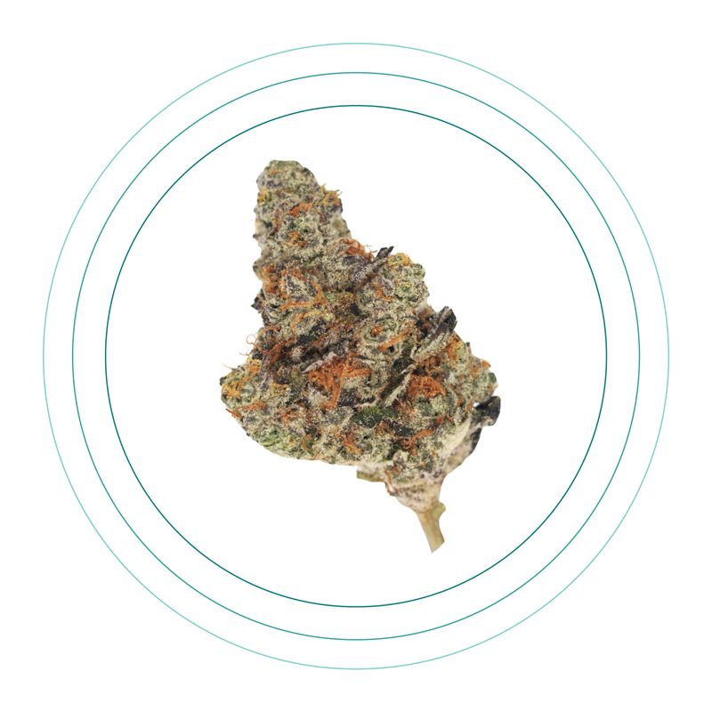 Galactic Cookies