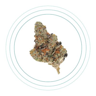 Galactic Cookies