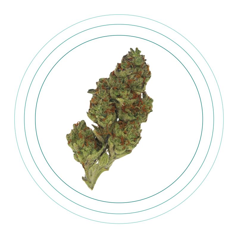 Papaya Cookies