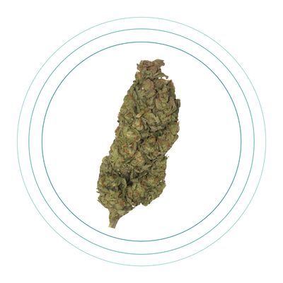 Strawberry Stardawg
