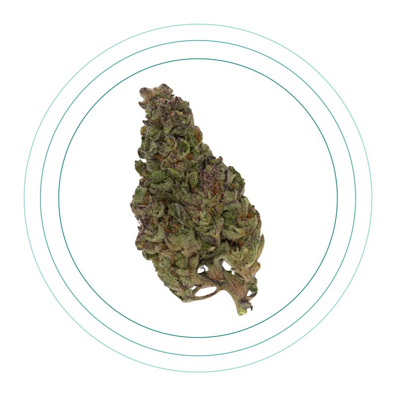 Kosher Kush