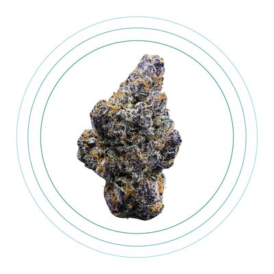 Block Berry