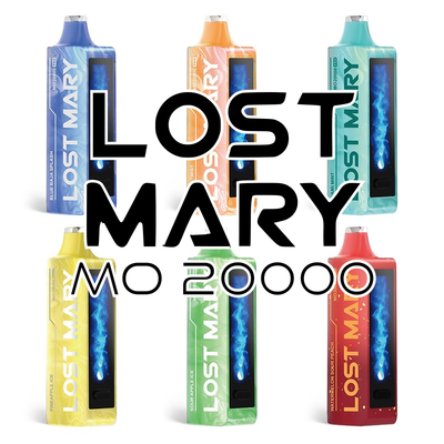 Lost Mary