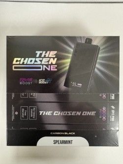 Life Pod 1 Black Spearmint