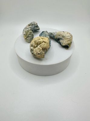 Galaxy Dust