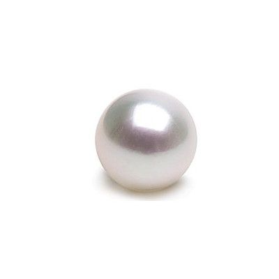 PERLE