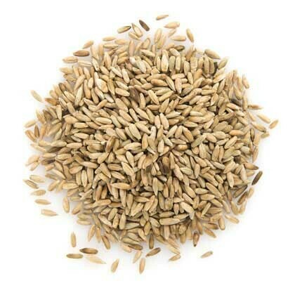 RYE GRAIN ORGANIC