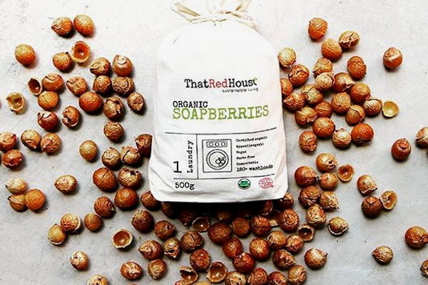 Soap Berries Organic