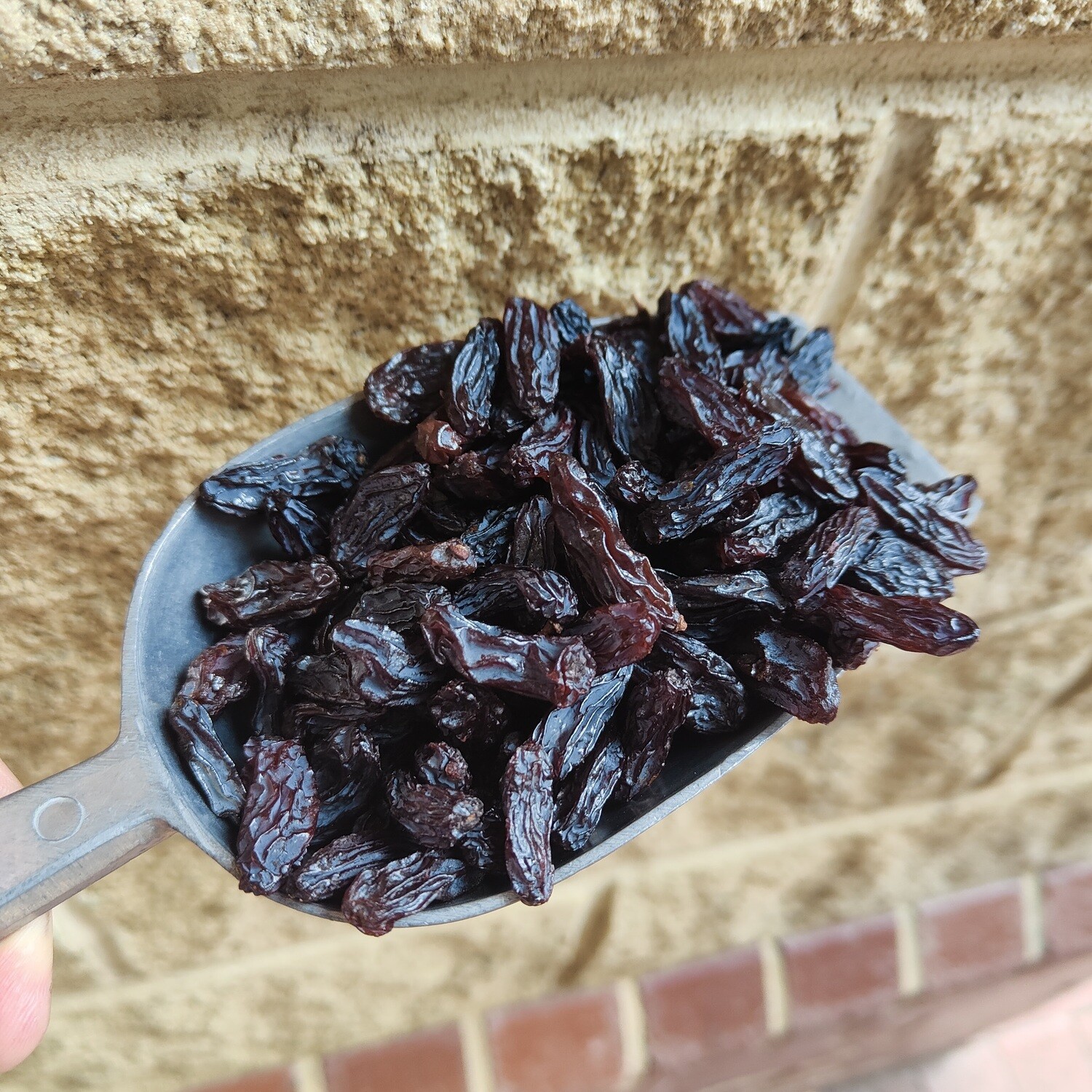 RAISINS AUSTRALIAN