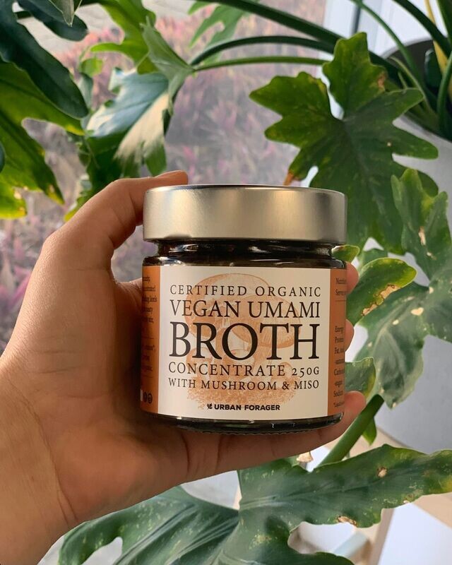 MUSHROOM STOCK CONCENTRATE - URBAN FORAGER