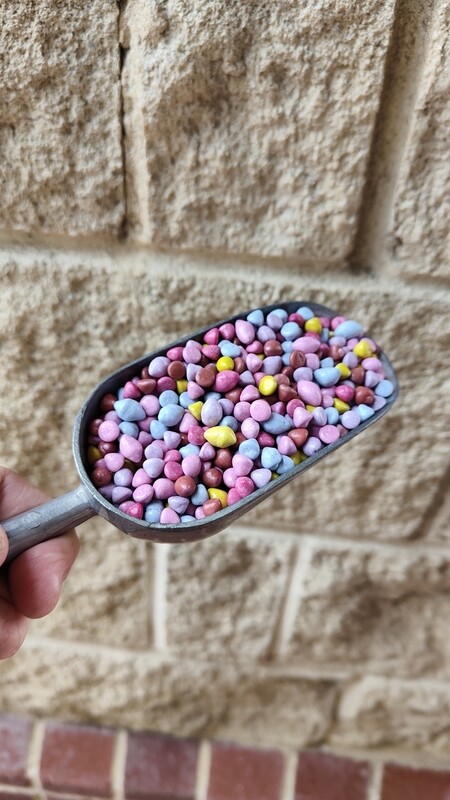 RAINBOW CHOC CHIPS
