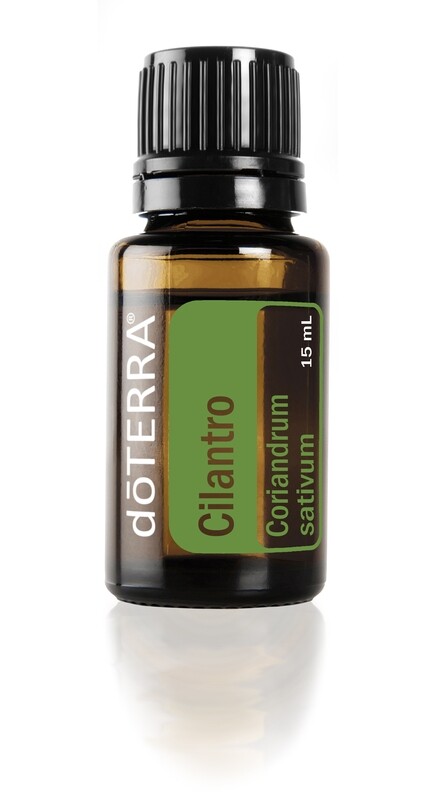 Cilantro Essential Oil 15ml