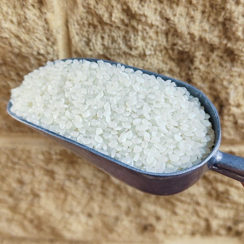 PUDDING RICE