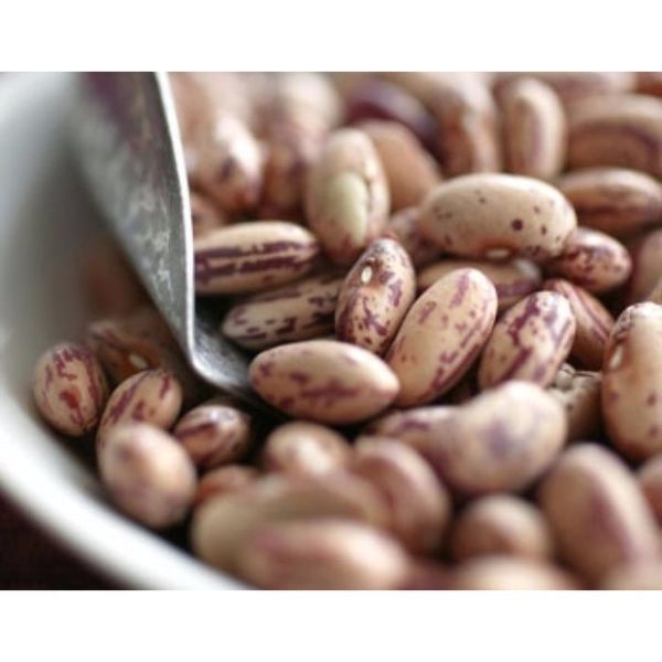 BORLOTTI BEANS