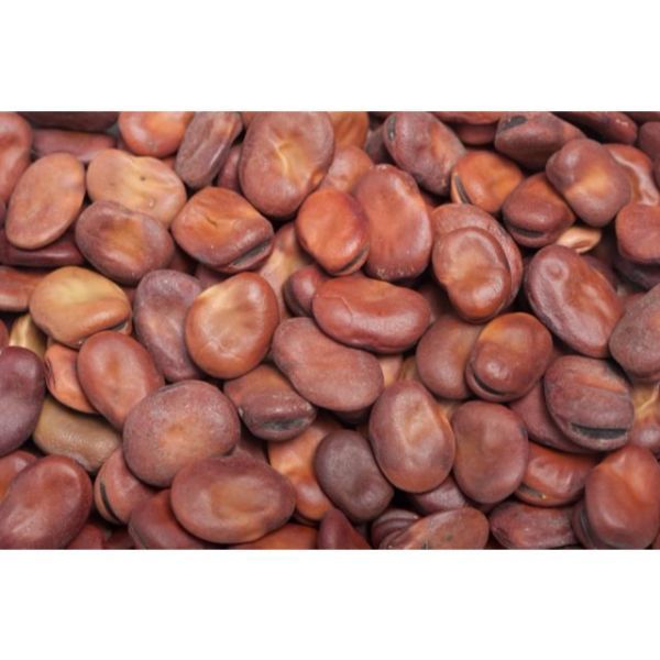 BROAD BEANS