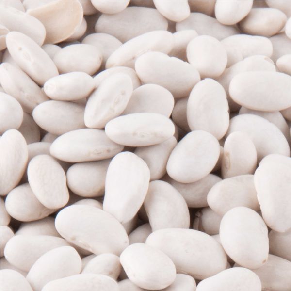GREAT NORTHERN BEANS GREAT NORTHERN BEANS