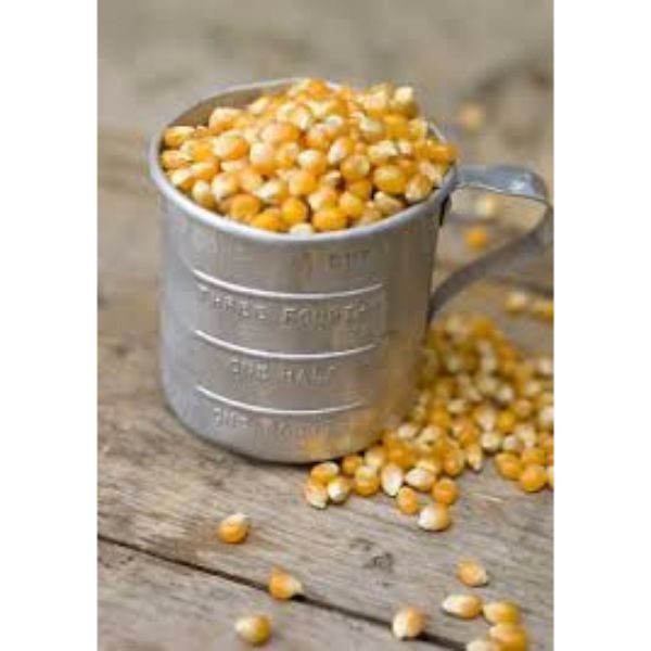 POPPING CORN POPPING CORN