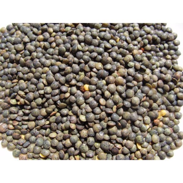 PUY LENTILS PUY LENTILS