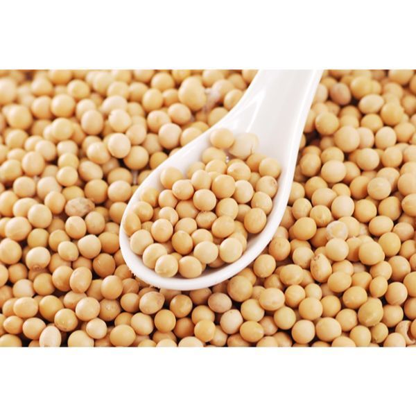 SOYA BEANS