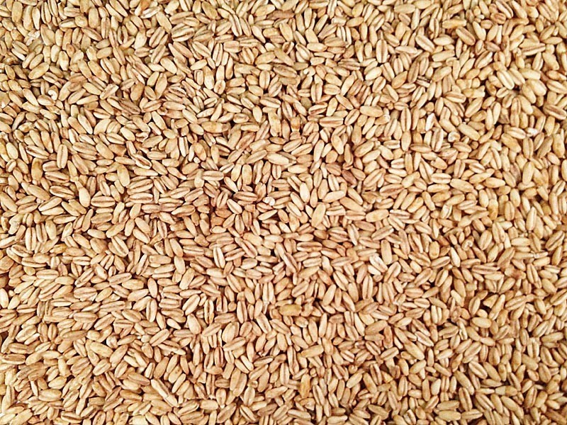 OAT KERNELS (GROATS)