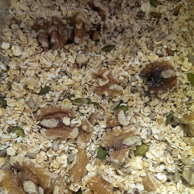 PORRIDGE FRUITY  NUTTY