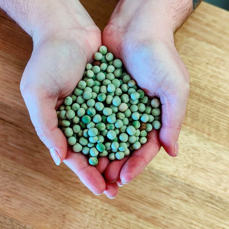 BLUE BOILING PEAS