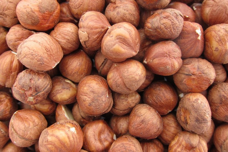 HAZELNUTS RAW