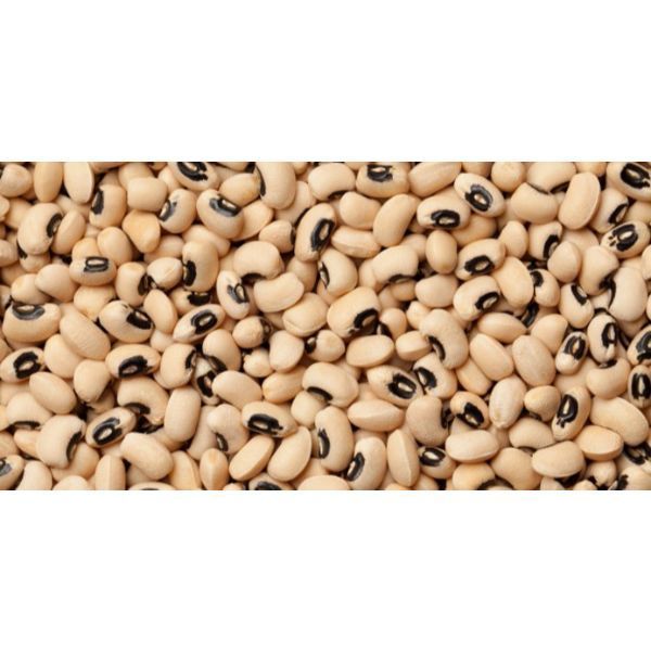 BLACK EYE BEANS
