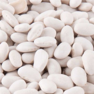 GREAT NORTHERN BEANS