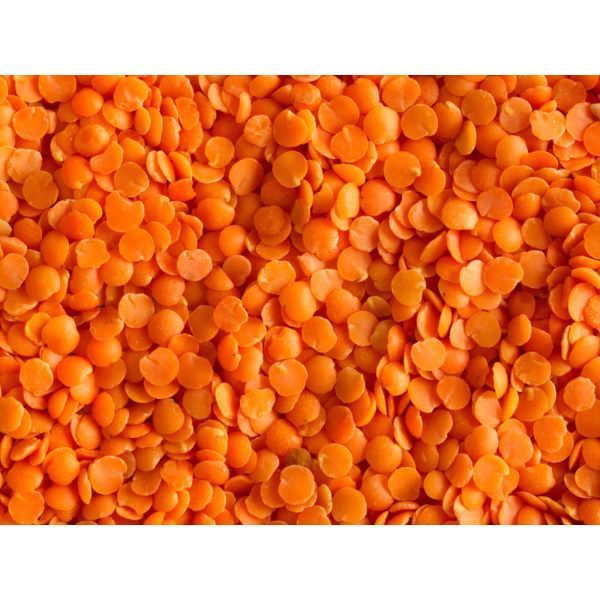 LENTILS RED