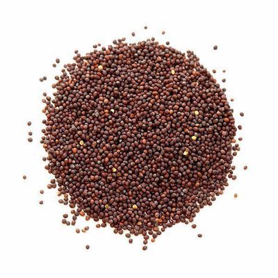 MUSTARD SEED RED/BLACK
