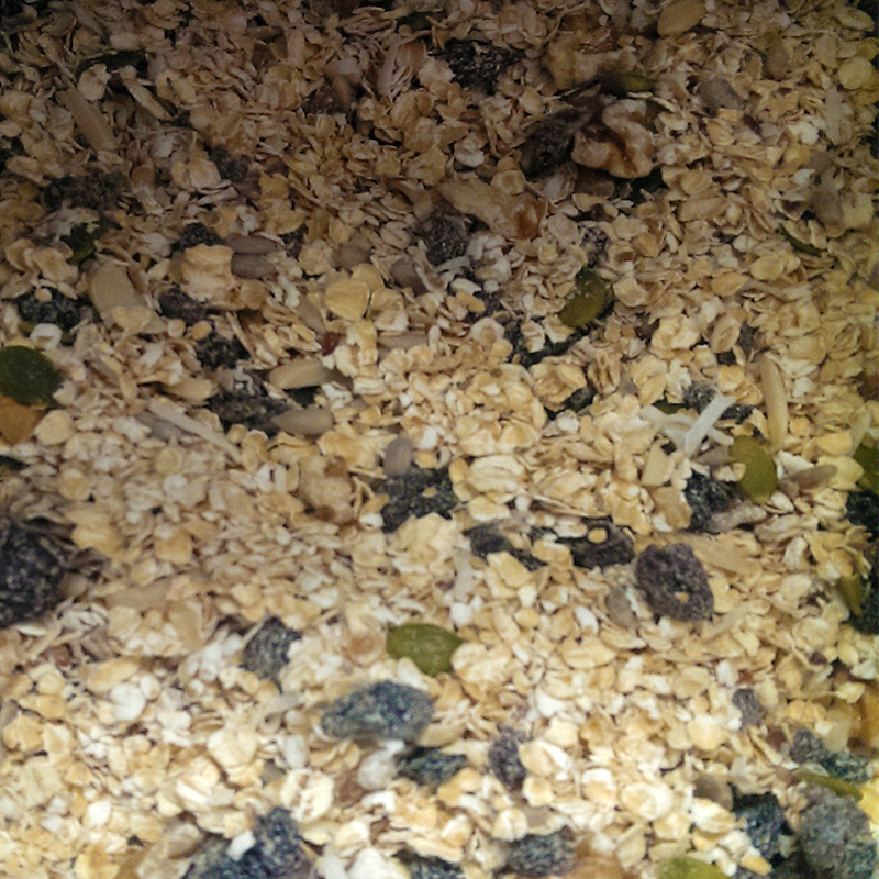 PORRIDGE CHIA