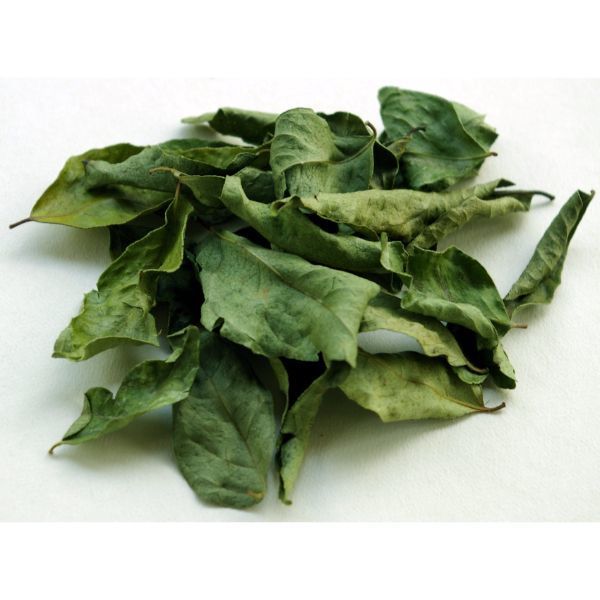 CURRY LEAVES