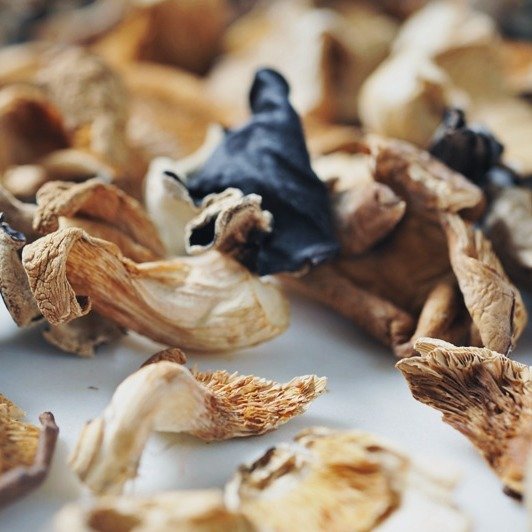 FOREST MIX MUSHROOMS