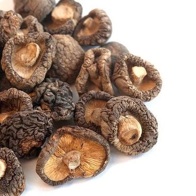 MUSHROOM SHITAKE