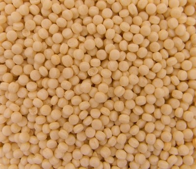 COUS COUS ISRAELI PEARL (MED)