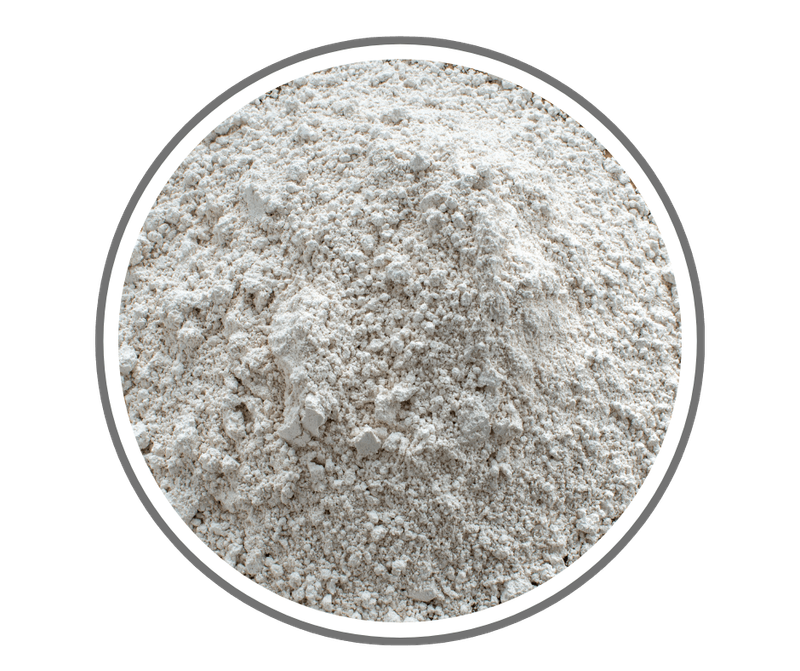 DIATOMEACOUS EARTH
