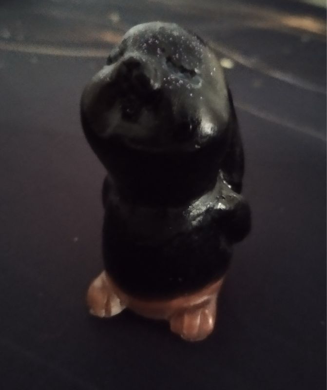 Häschen Guck in die Luft