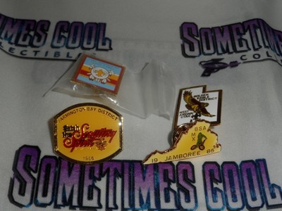 BSA Scouting Pin Set