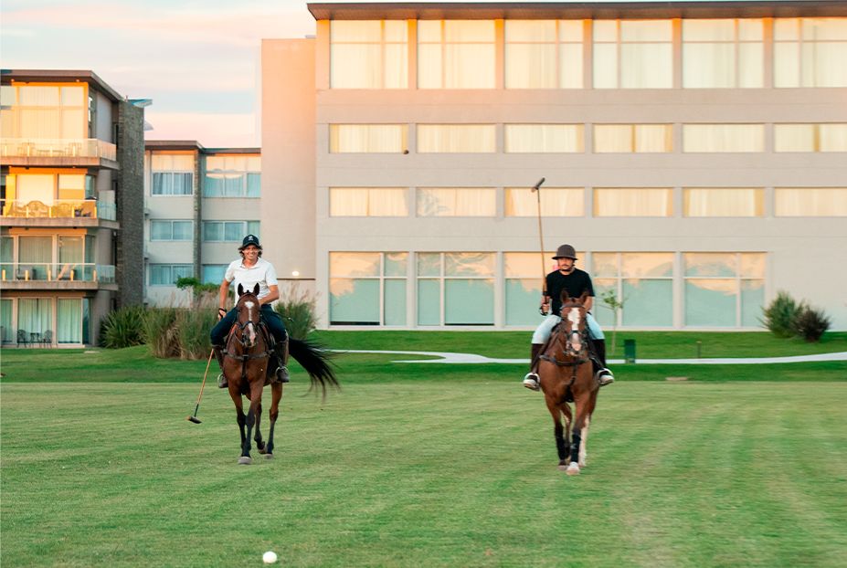 Polo Holiday Polo Holiday