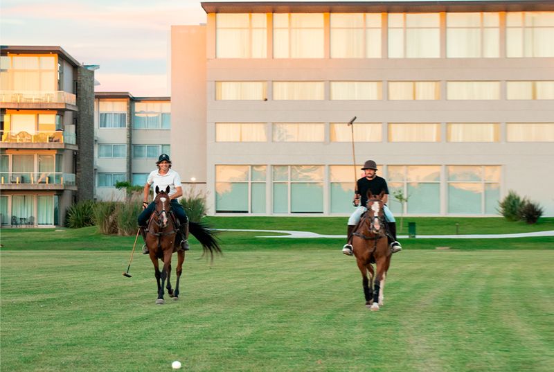 Polo Holiday