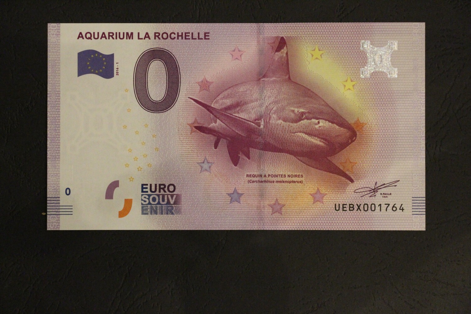 AQUARIUM LA ROCHELLE
