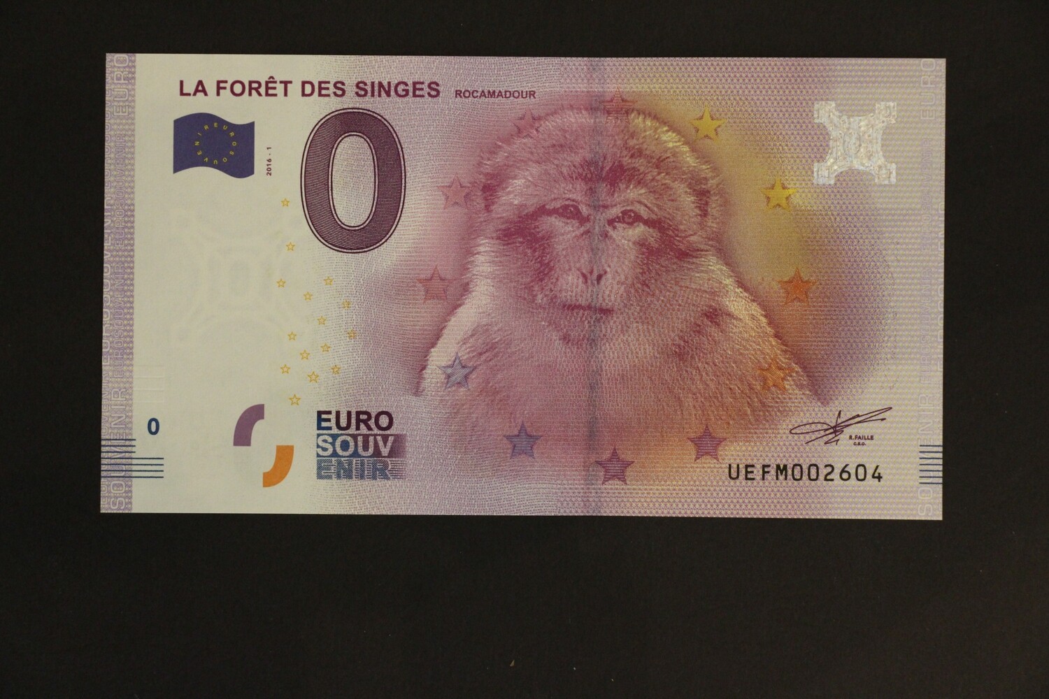 LA FORET DES SINGES