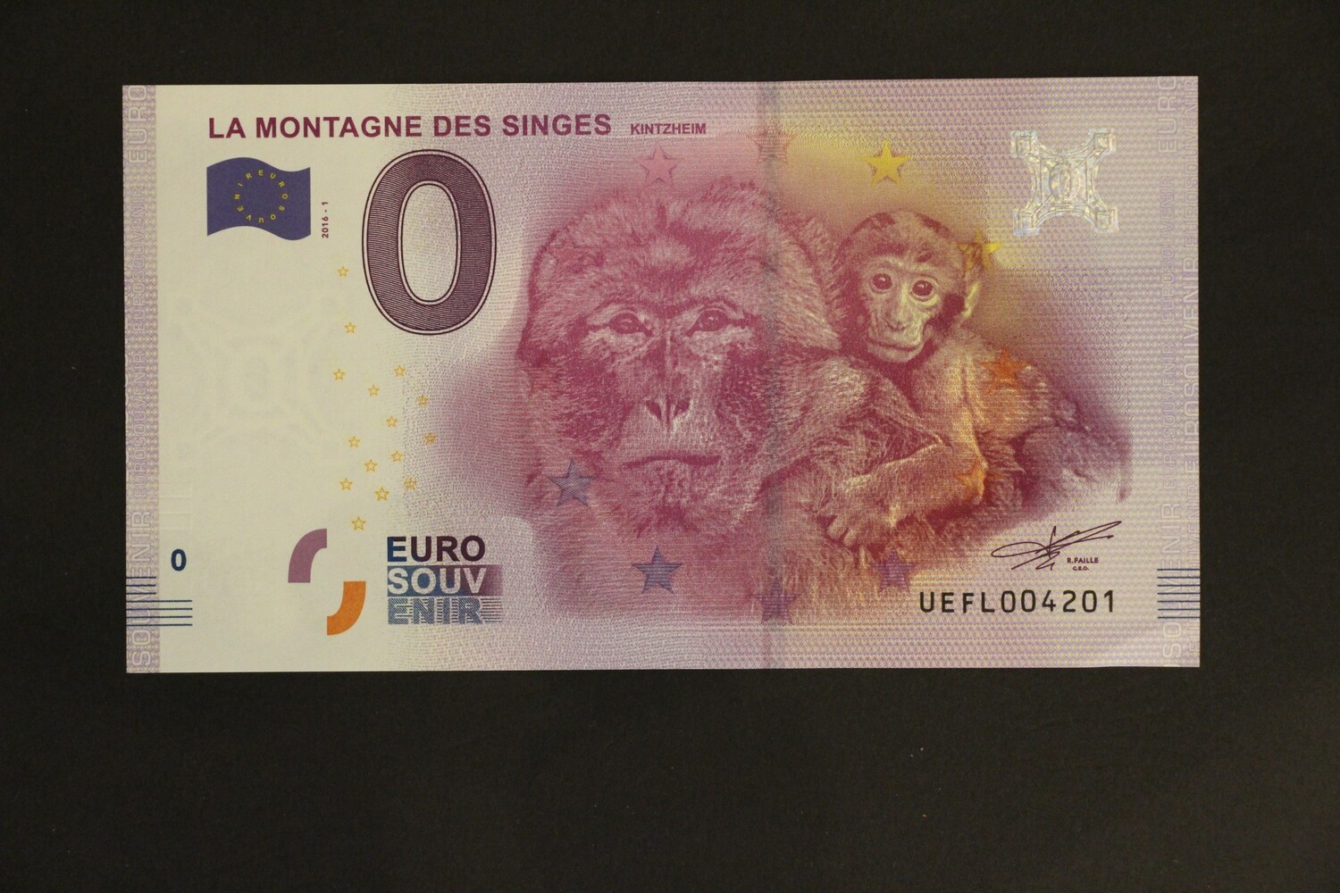 LA MONTAGNE DES SINGES
