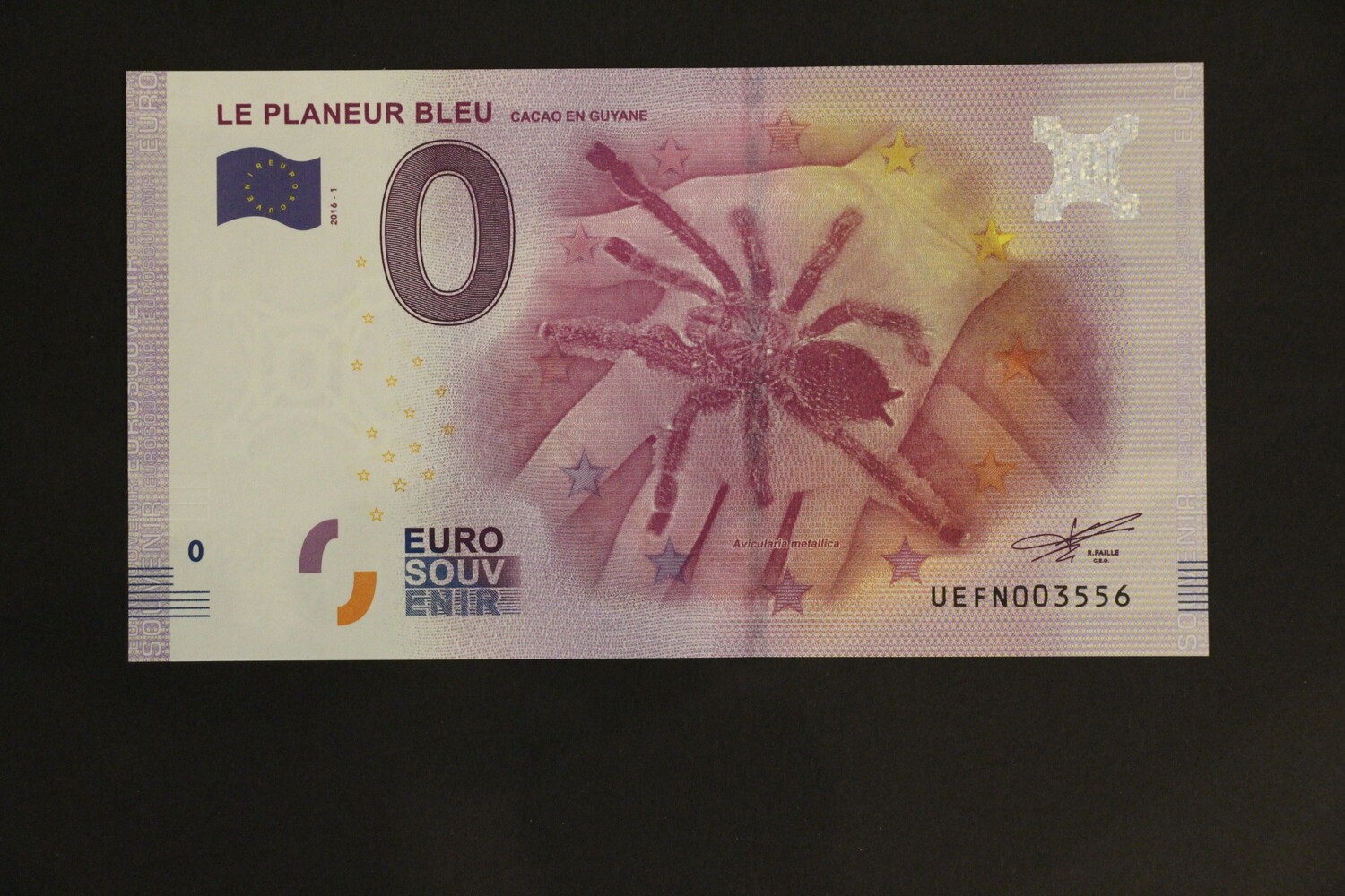 LE PLANEUR BLEU