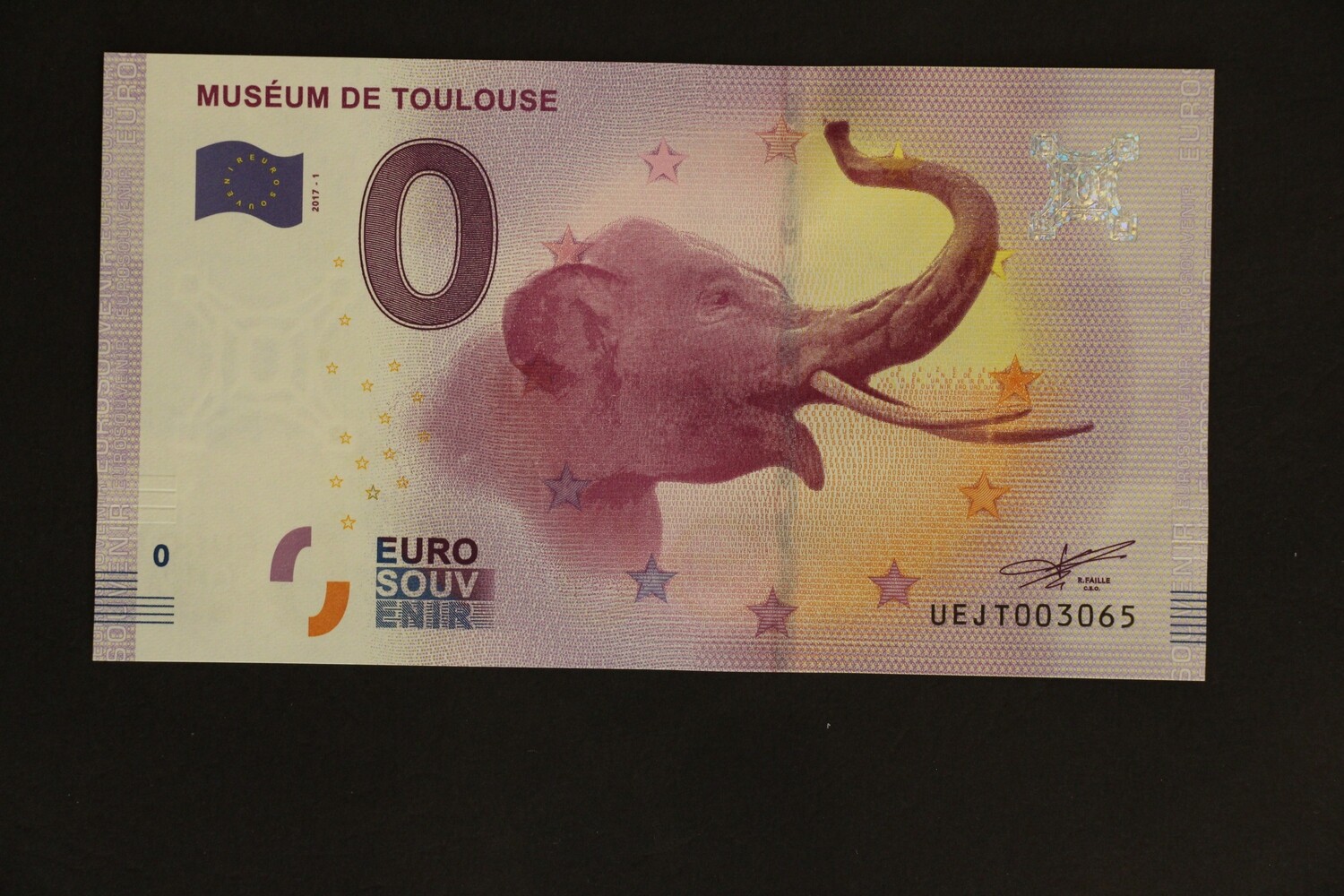 MUSEUM DE TOULOUSE