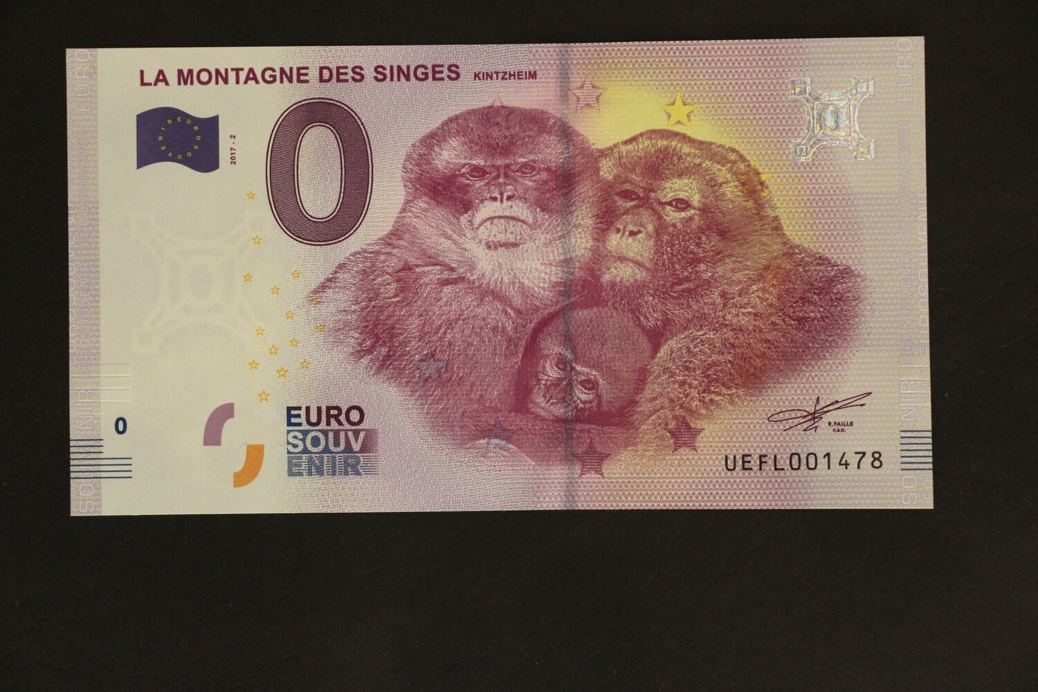 LA MONTAGNE DES SINGES